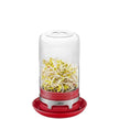 Gefu - Sprouting Jar Bivita Raspberry Red