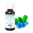 Wintergreen Oil Natural - Food Grade Essential Oils 1 oz., 16 oz., 1 Gallon - Ships Free Within Canada on Orders Above CAD $199