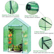 Greenhouse Outdoor Large Walk-in Plant Green house for Plants (Green)