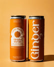 Casa Piñata - Ginger Shrub
