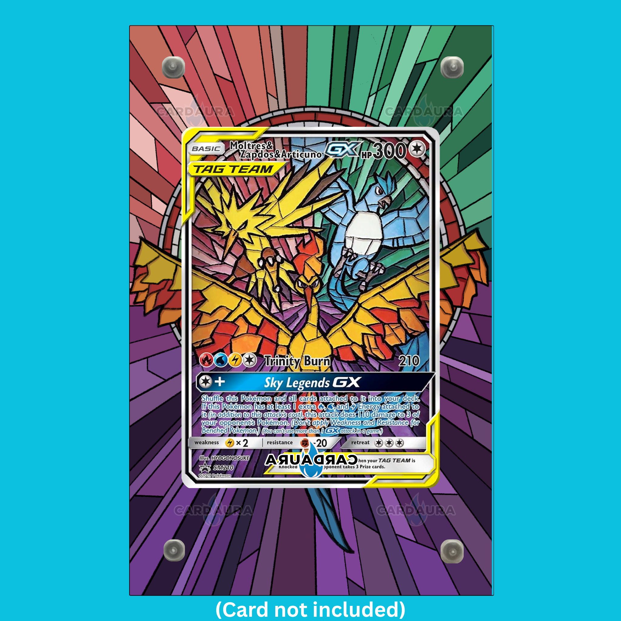 Moltres Zapdos Articuno Tag Team SM210 Hidden Fates (Ungraded) Display Case