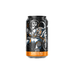 Go Brewing - Sunbeam Pils