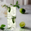 Govino - 14 oz Highball Cocktail Glasses, Set of 4