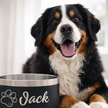 Gamelle personnalisée pour chien et chat noire
