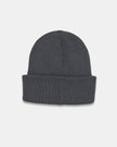 Alden Beanie