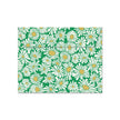Green Daisies Pattern Envelope - 5 Pack