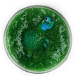Monster Slime