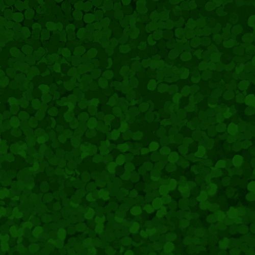 XVINYL Holographic Sparkle HTV - Heat Transfer Vinyl (Green), 12x10