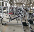 Olympic Incline Bench with Barbell Support, Spotter and Plate Holders (AN59)
