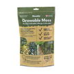 Native Boreal Mix Growable Moss for the Shade - PRE-ORDER