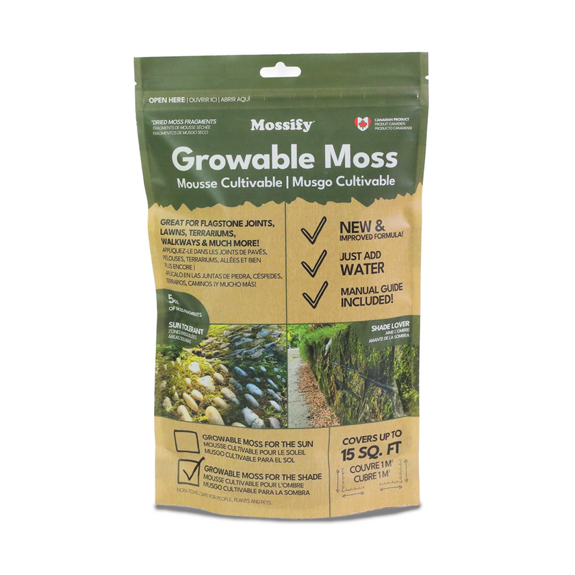 Native Boreal Mix Growable Moss for the Shade - PRE-ORDER