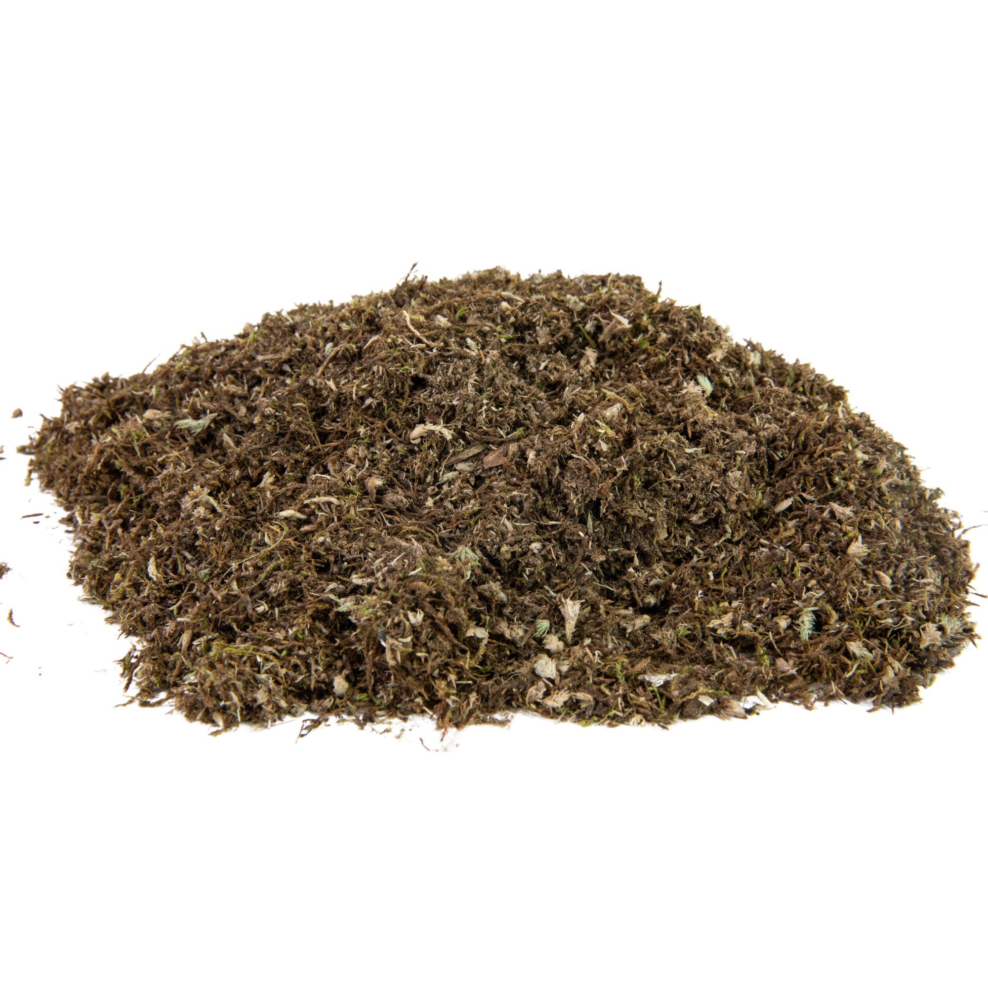 Native Boreal Mix Growable Moss for the Shade - PRE-ORDER