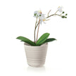 Guzzini - Lot de 2 supports pour pots de plantes (simple)