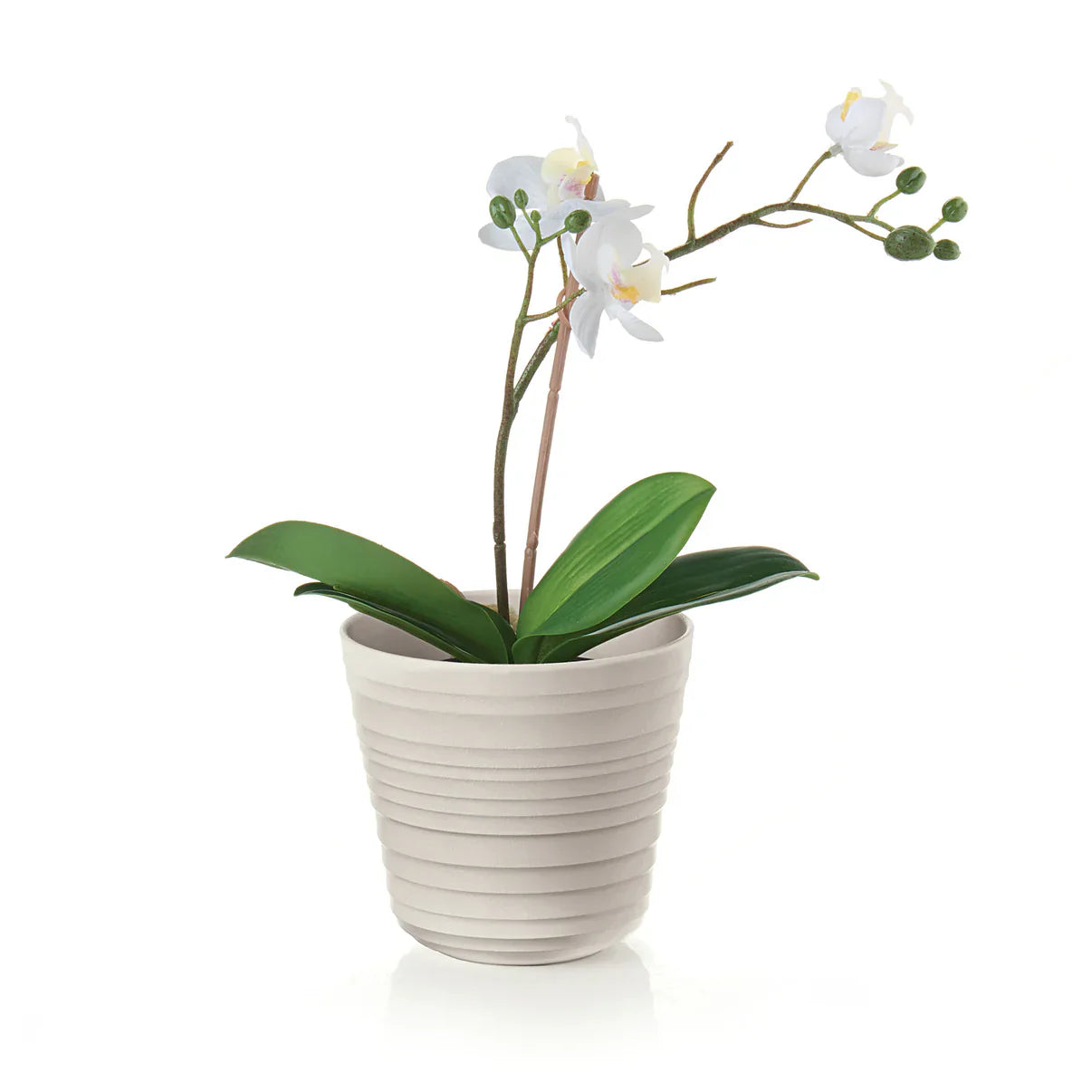 Guzzini - Lot de 2 supports pour pots de plantes (simple)