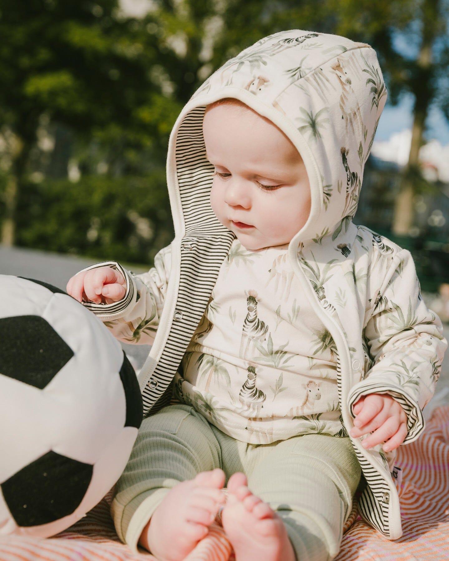 Organic Cotton Jersey T-Shirt And Cotton Rib Pants Set Beige Zebra Print And Sage Green