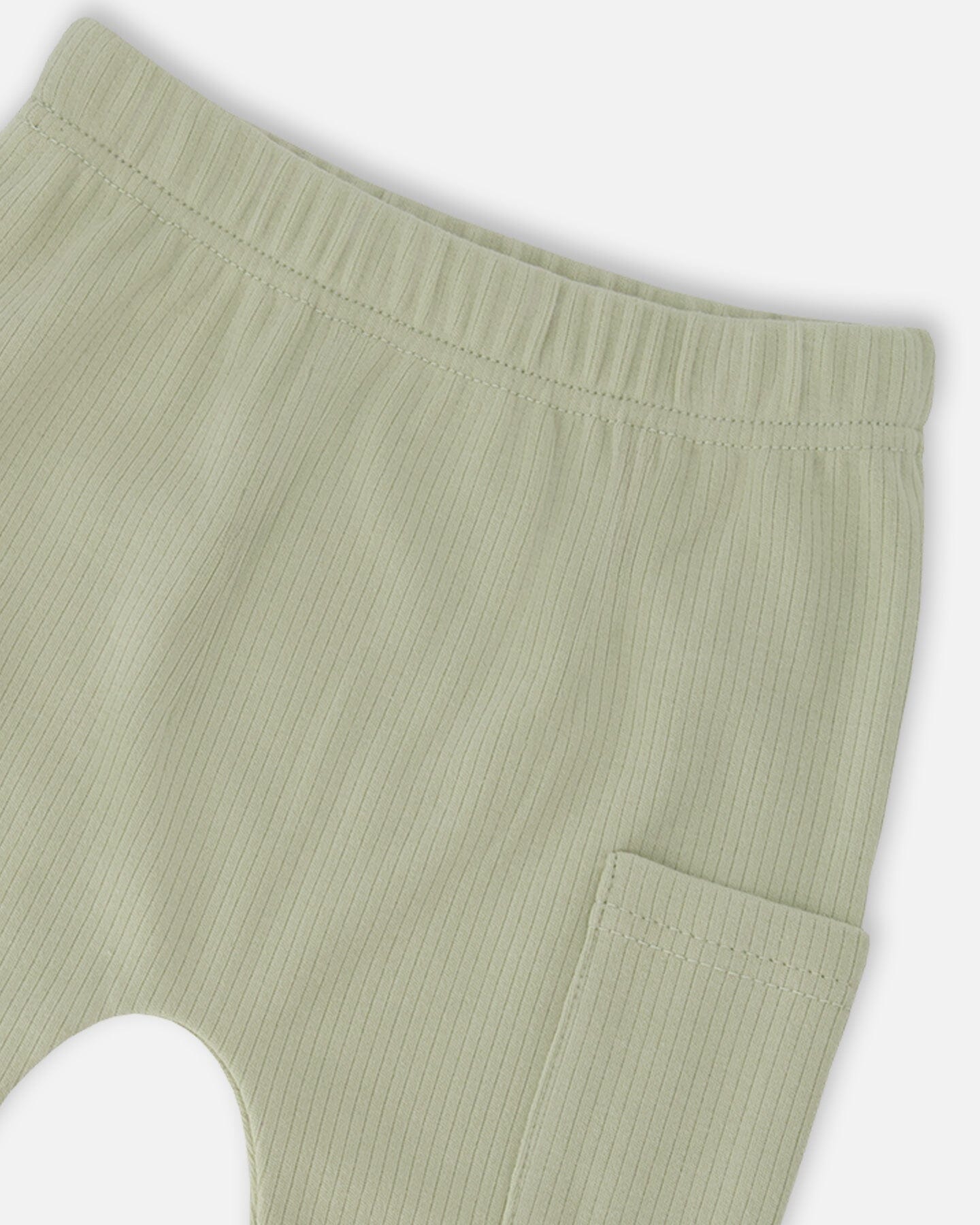 Organic Cotton Jersey T-Shirt And Cotton Rib Pants Set Beige Zebra Print And Sage Green
