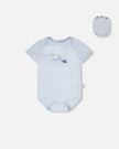 3 Pack Evolutive Organic Cotton Jersey Onesies Grey Mix Turtle Print