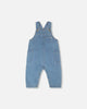 Light Blue Chambray Overall