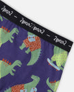 Organic Cotton Boxer Blue Dino Print
