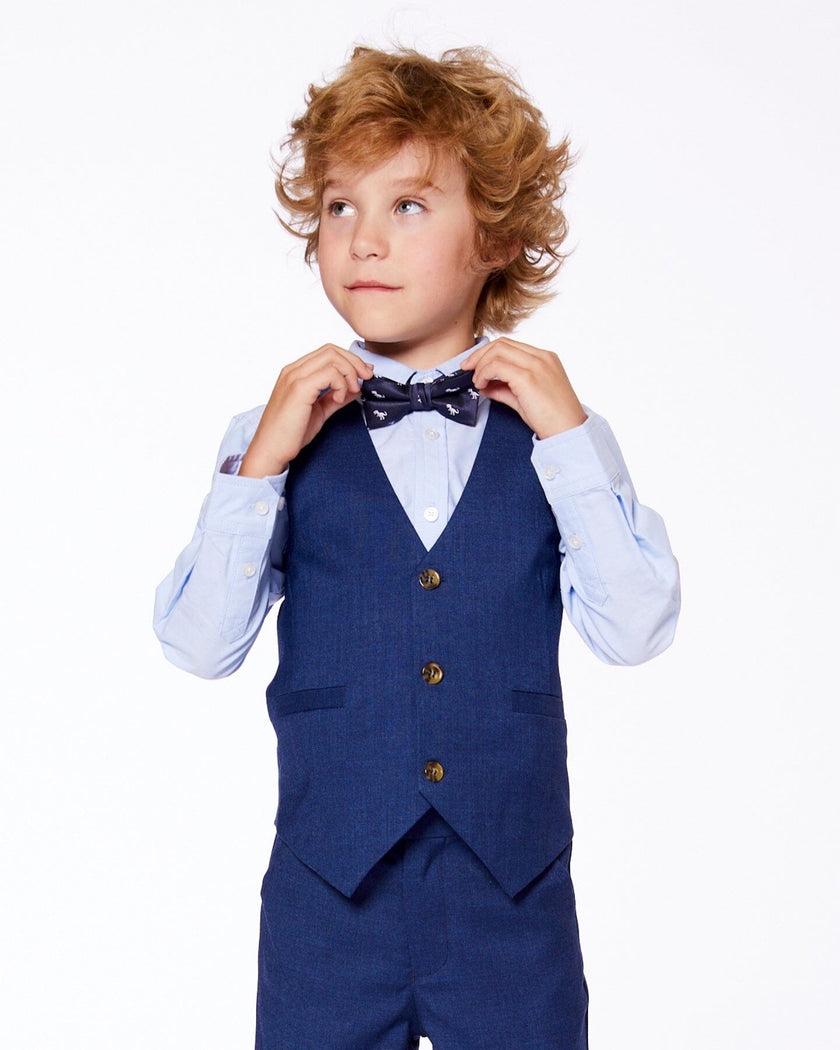 Bow Tie Blue Dino Print