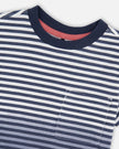 Organic Cotton Short Sleeve T-Shirt Blue Gradient Stripes