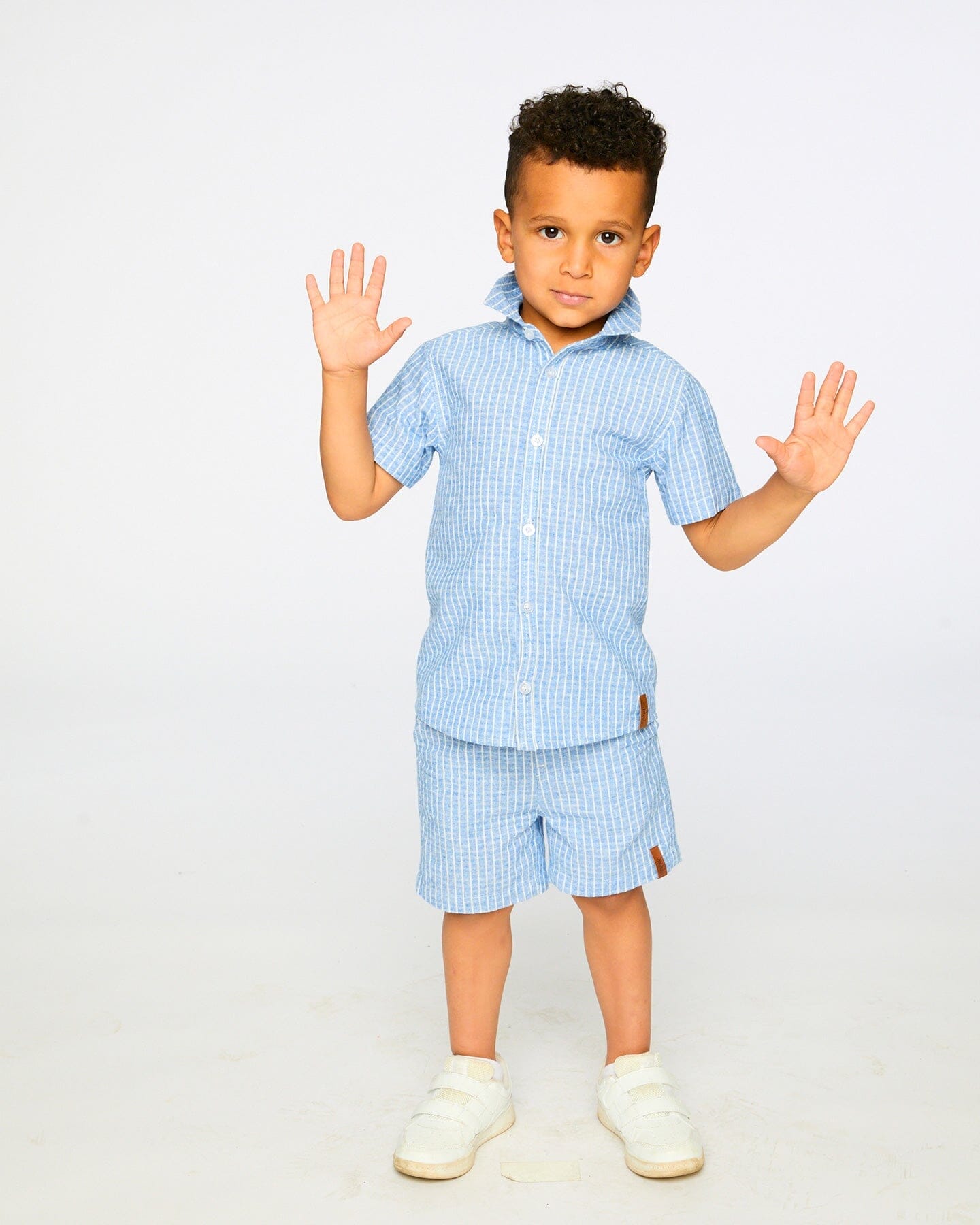 Printed Chambray Shorts Blue Denim Stripes