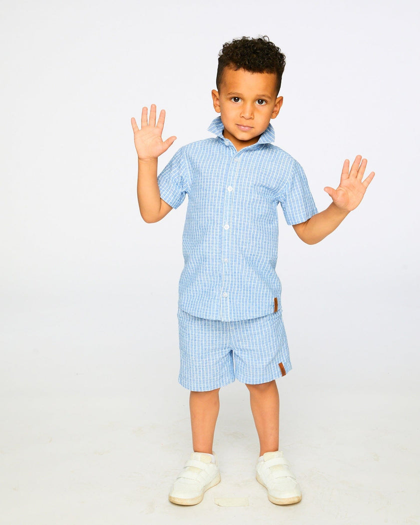 Printed Chambray Shorts Blue Denim Stripes