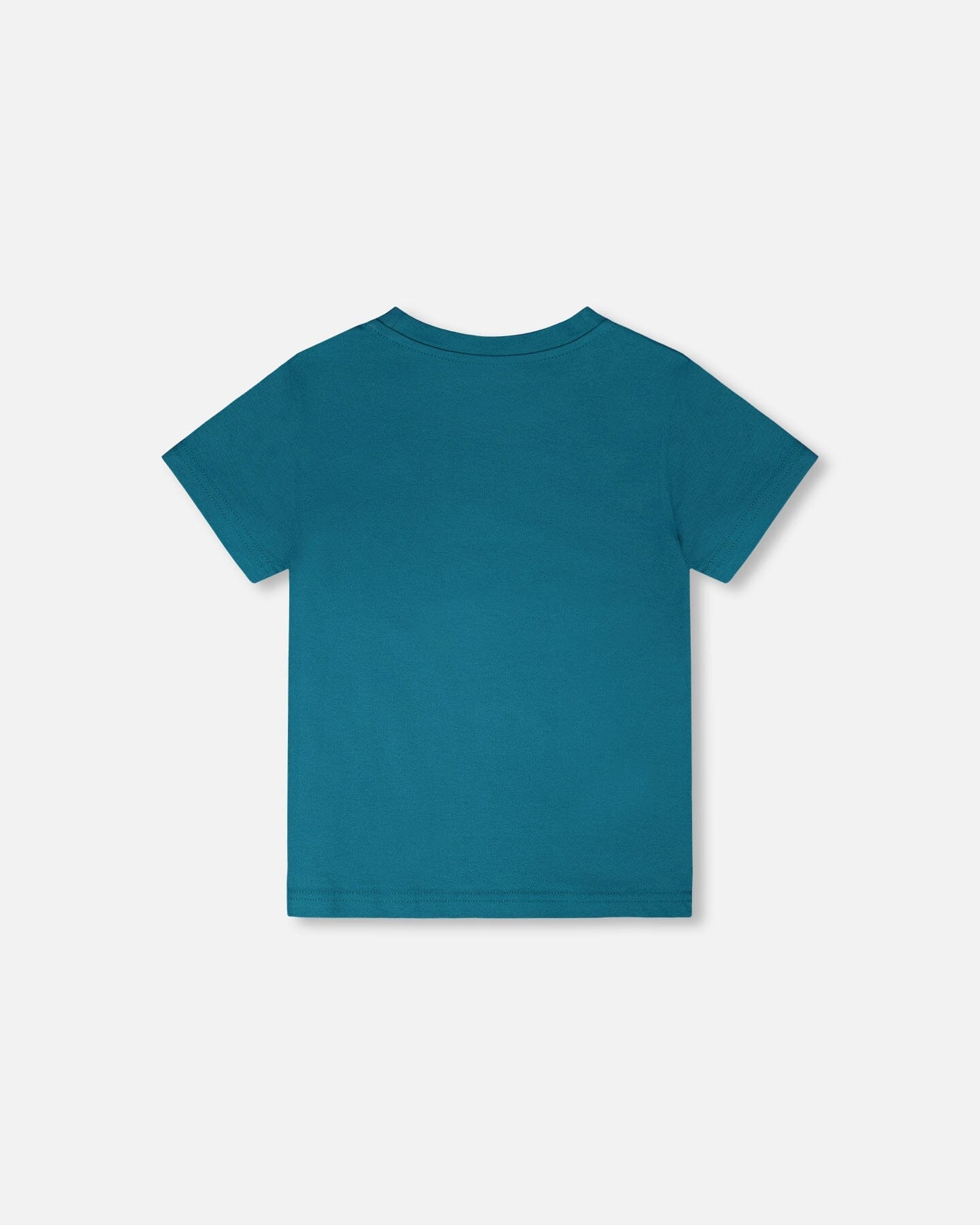 Organic Cotton Jersey T-Shirt With Print Atlantic Green