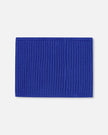 Knit Neckwarmer Royal Blue