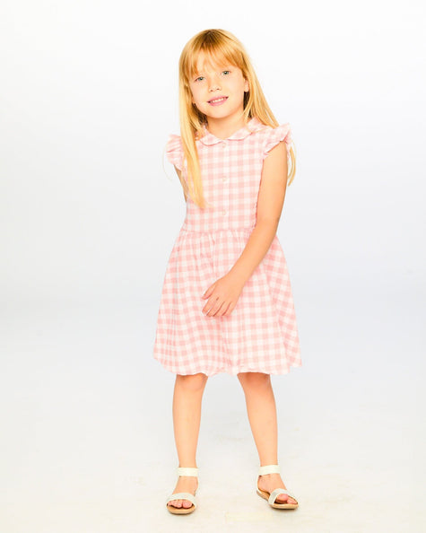 Sleeveless Button Down Dress Pink Gingham