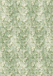 Tissue Paper A4 6/Pkg Elysium
