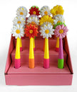 HAUG BURSTEN - DAISY Dish Brush