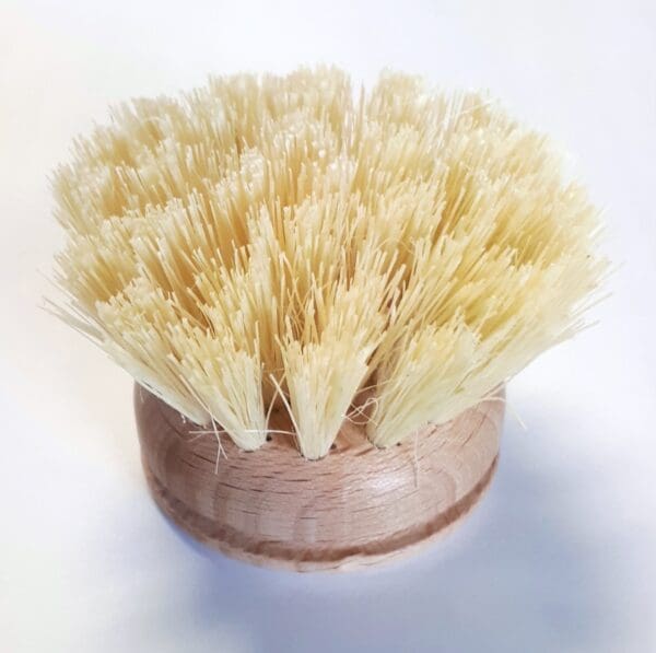 HAUG BURSTEN - Tête de rechange pour brosse à vaisselle - 5cm