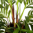 Hawaii Artificial Palm Tree Potted Plant (Multiple Sizes)