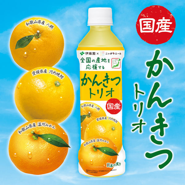 Itoen Nippon Ale Japanese Citrus Trio (400G) [Best Before Date: 2025.10]