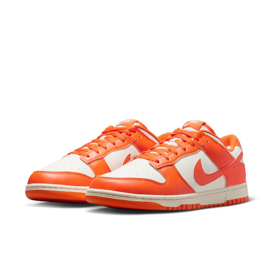Nike Dunk Low Retro HF5441-106 (taille M)