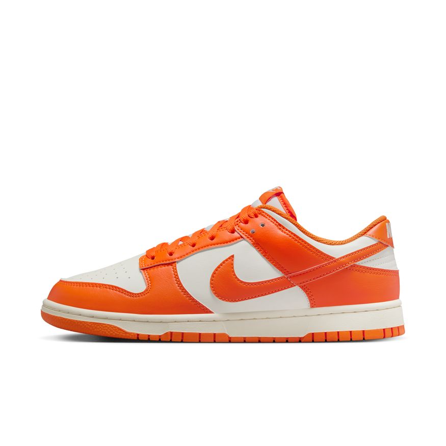 Nike Dunk Low Retro HF5441-106 (taille M)