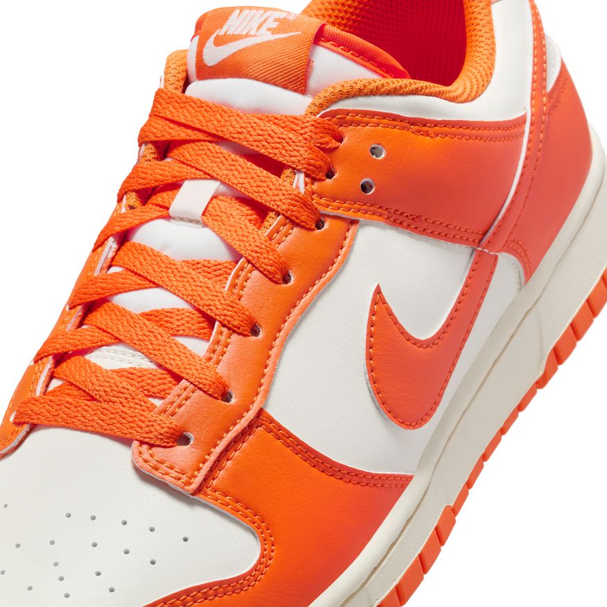Nike Dunk Low Retro HF5441-106 (taille M)