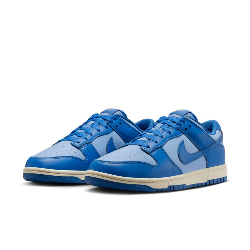 Nike Dunk Low Retro HF5441-400 (taille M)