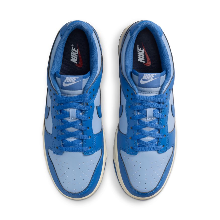 Nike Dunk Low Retro HF5441-400 (taille M)