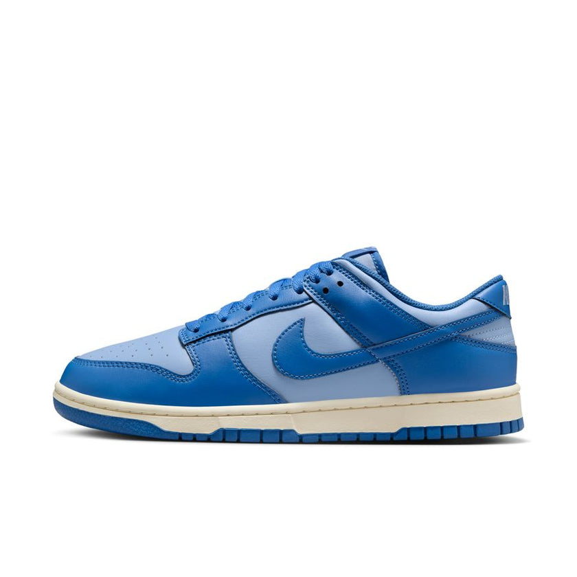 Nike Dunk Low Retro HF5441-400 (taille M)