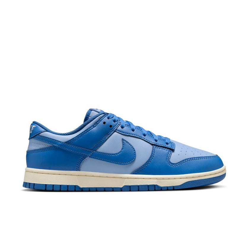 Nike Dunk Low Retro HF5441-400 (taille M)