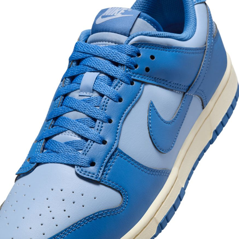 Nike Dunk Low Retro HF5441-400 (taille M)