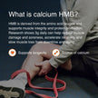 HMB+ Creatine