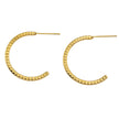 HOLLY: Textured Gold Hoop Earrings