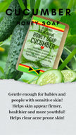 ALL NATURAL HONEY CUCUMBER FACE & BODY BAR