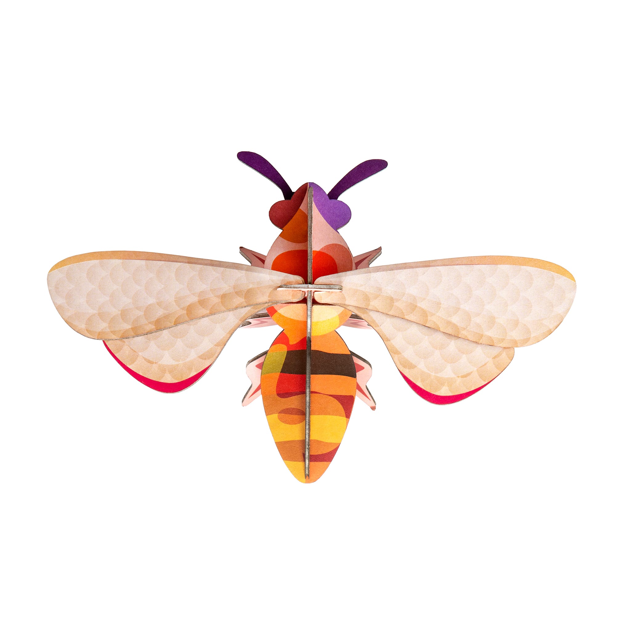 Honey Bee