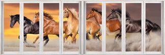 Panoramic Team of Horses with window effect- Animal Print Canvas