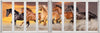 Panoramic Team of Horses with window effect- Animal Print Canvas