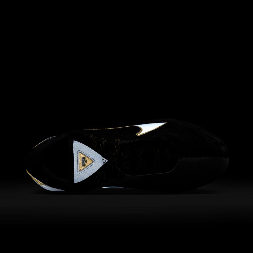 M LeBron XXII  